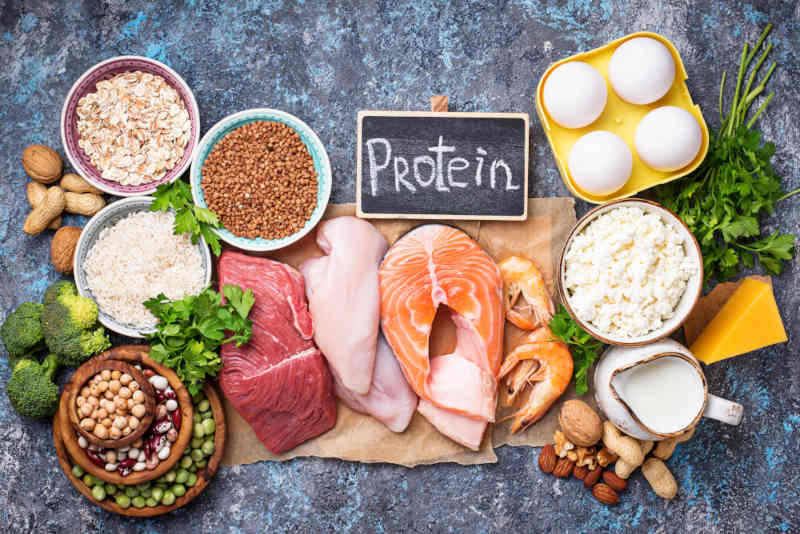 11 Makanan Tinggi Protein Untuk Daya Tahan Tubuh Elora